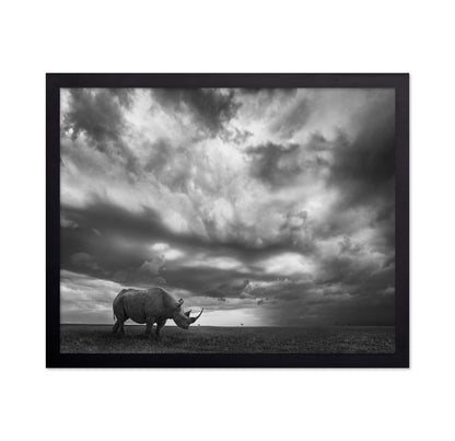 Lone Rhino Plains