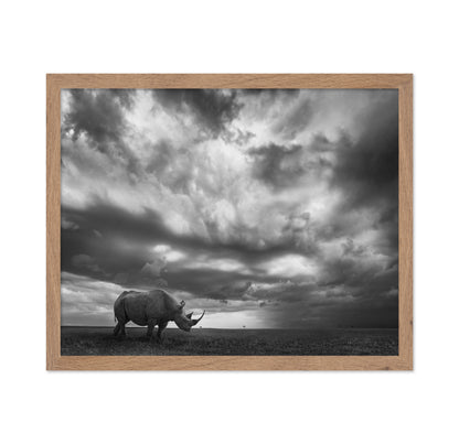 Lone Rhino Plains