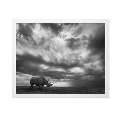 Lone Rhino Plains