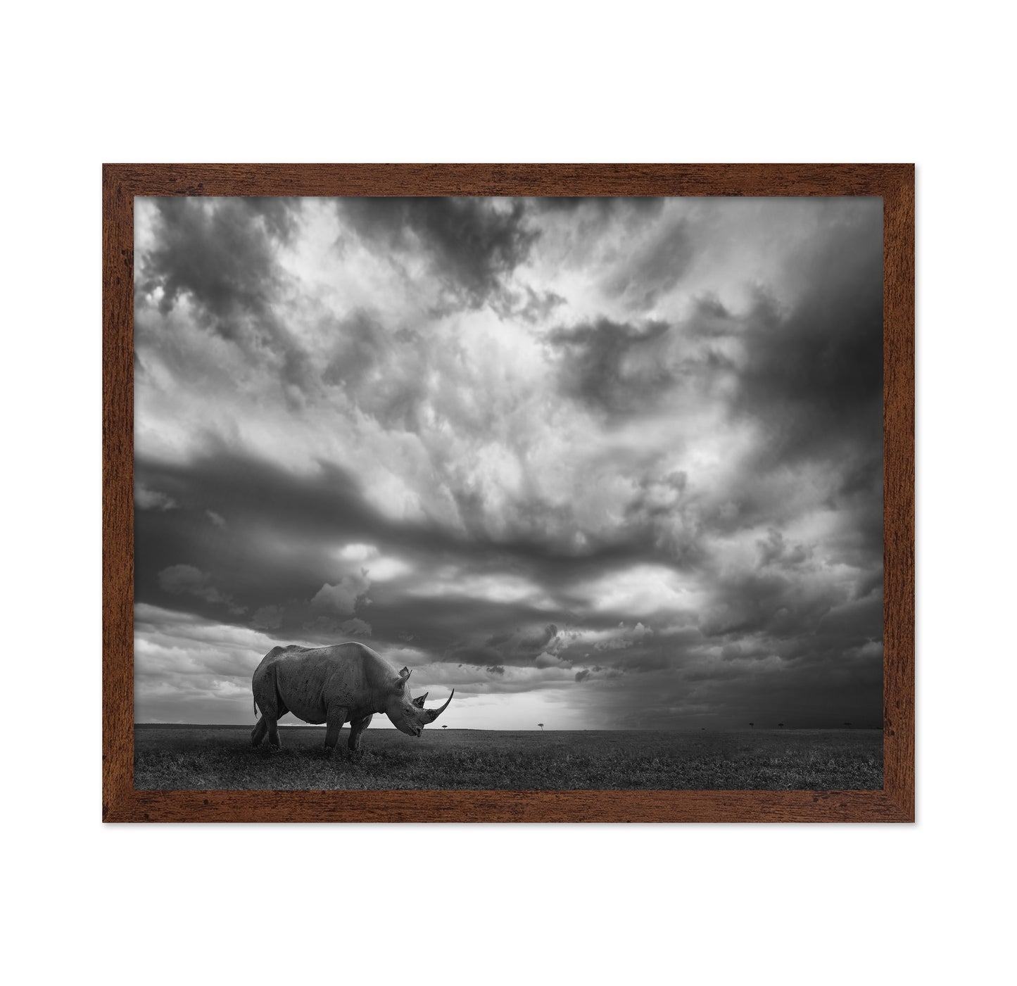 Lone Rhino Plains