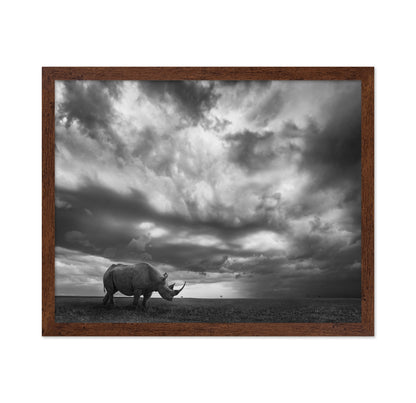 Lone Rhino Plains