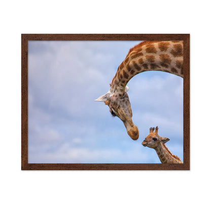 Giraffe And Calf