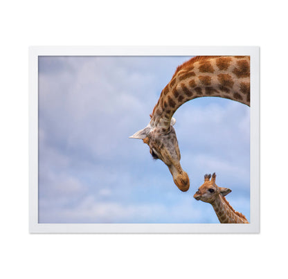 Giraffe And Calf