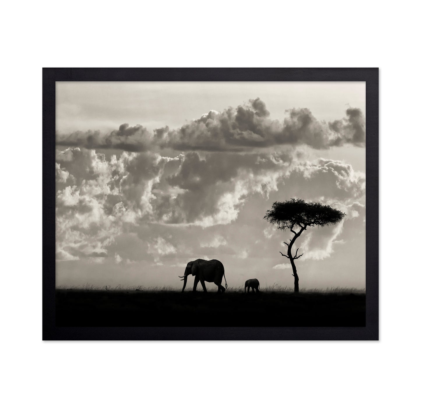 Elephant Silhouette