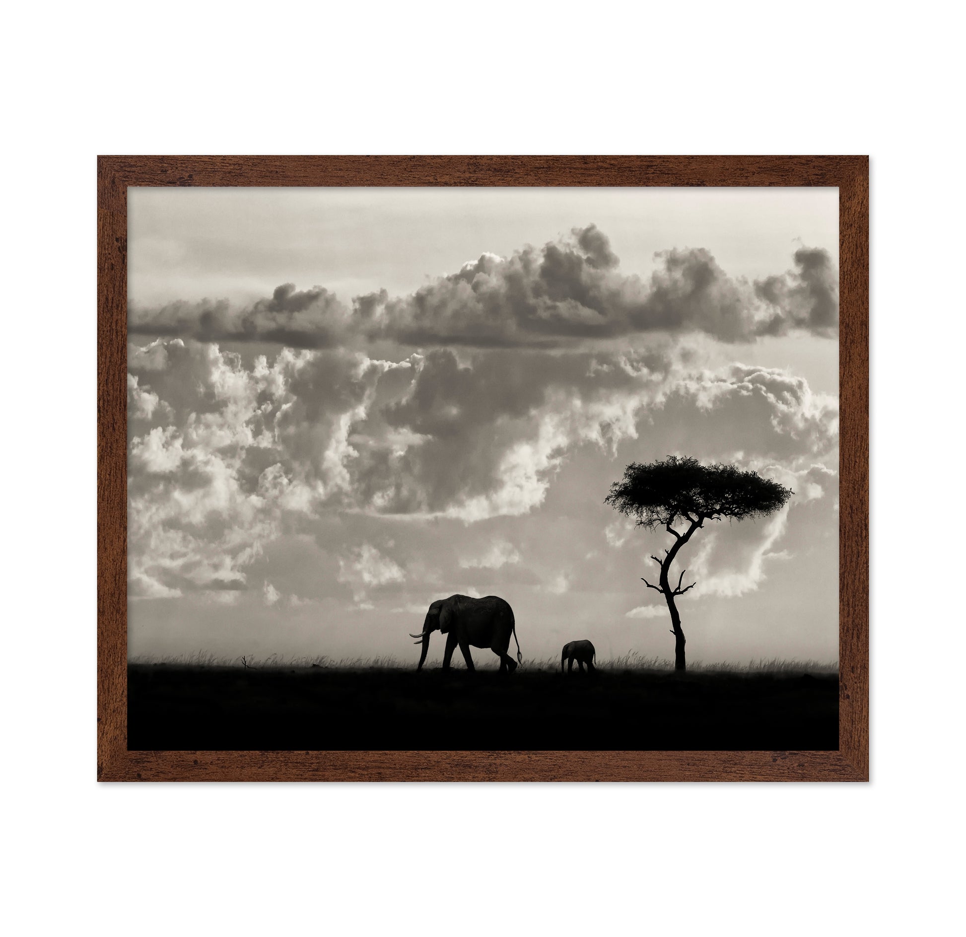 Elephant Silhouette
