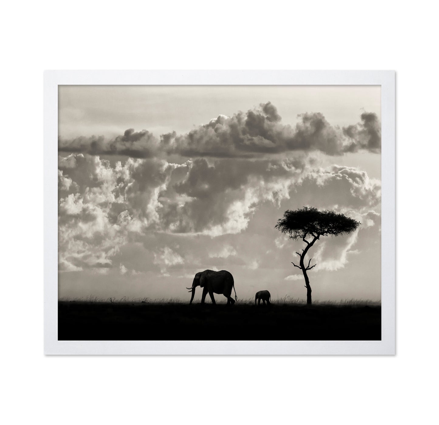 Elephant Silhouette
