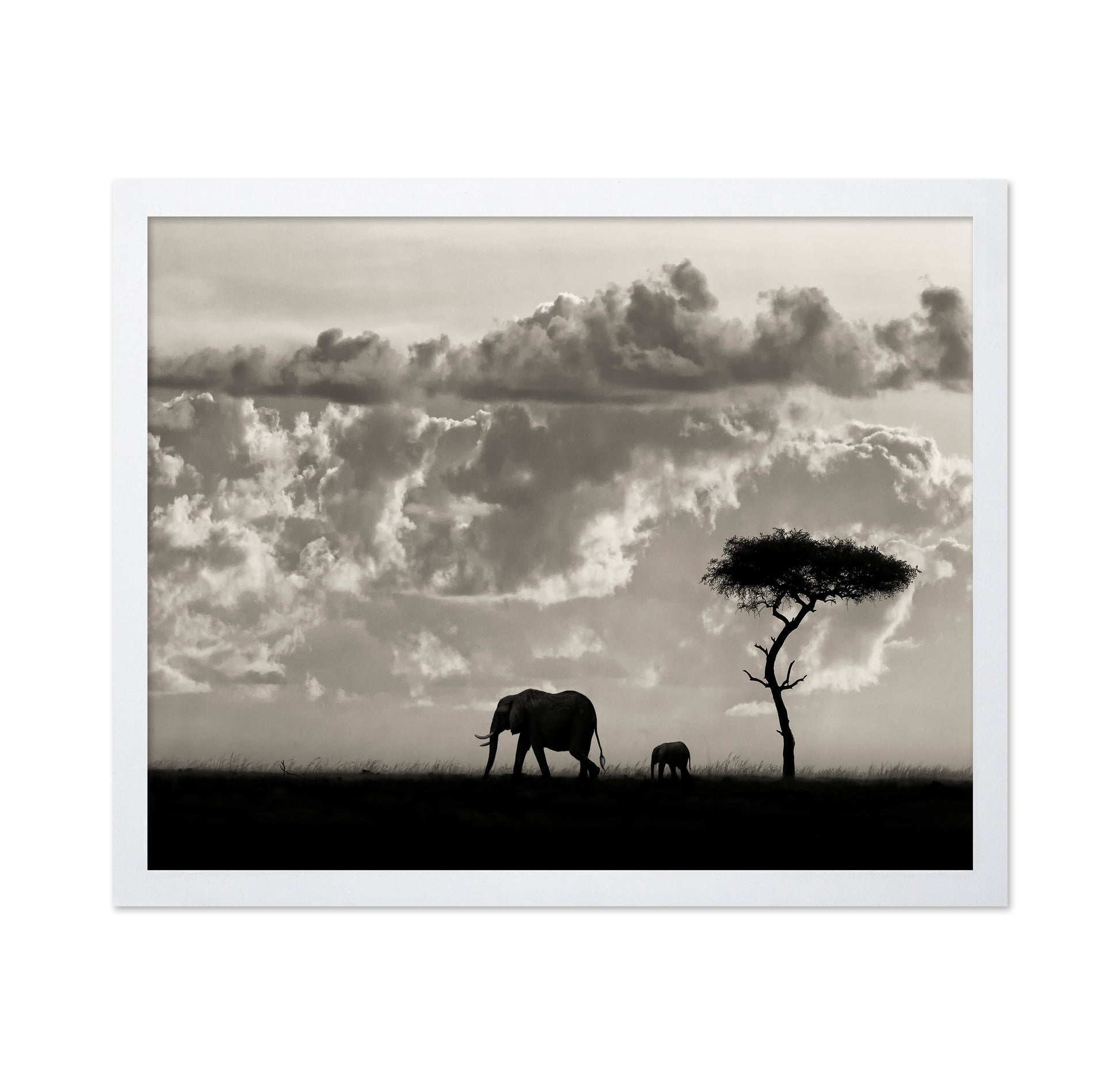 Elephant Silhouette