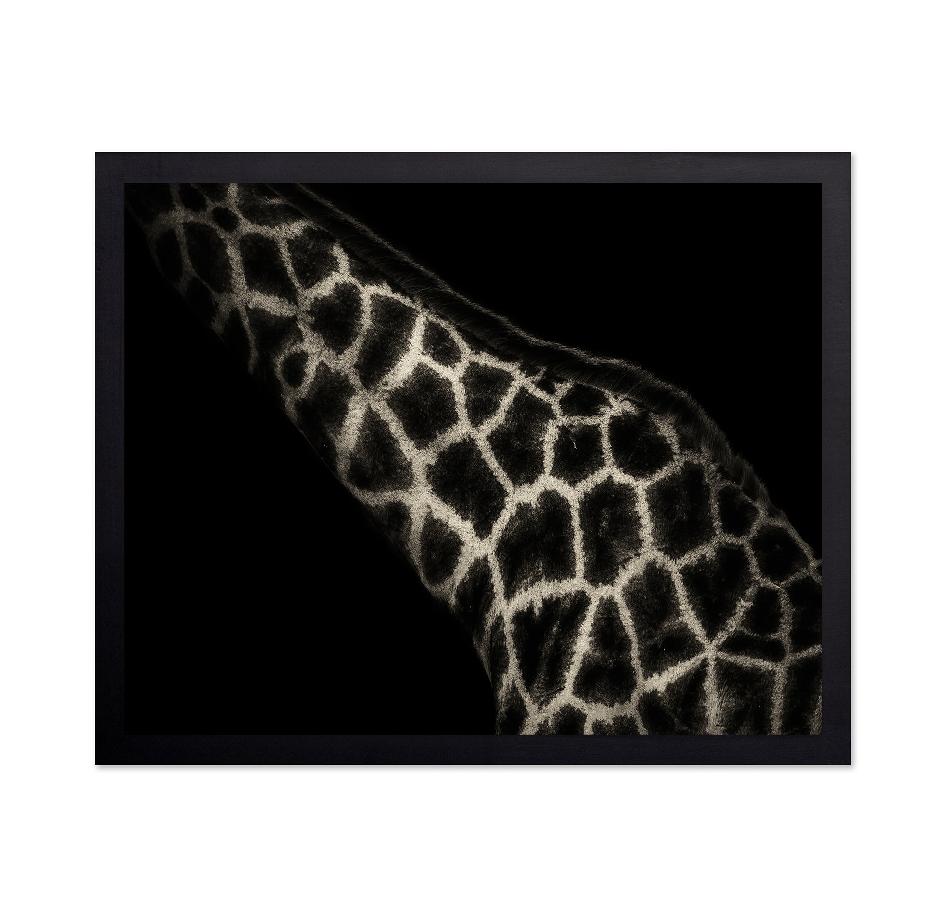 Giraffe Pattern