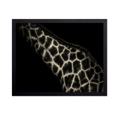 Giraffe Pattern