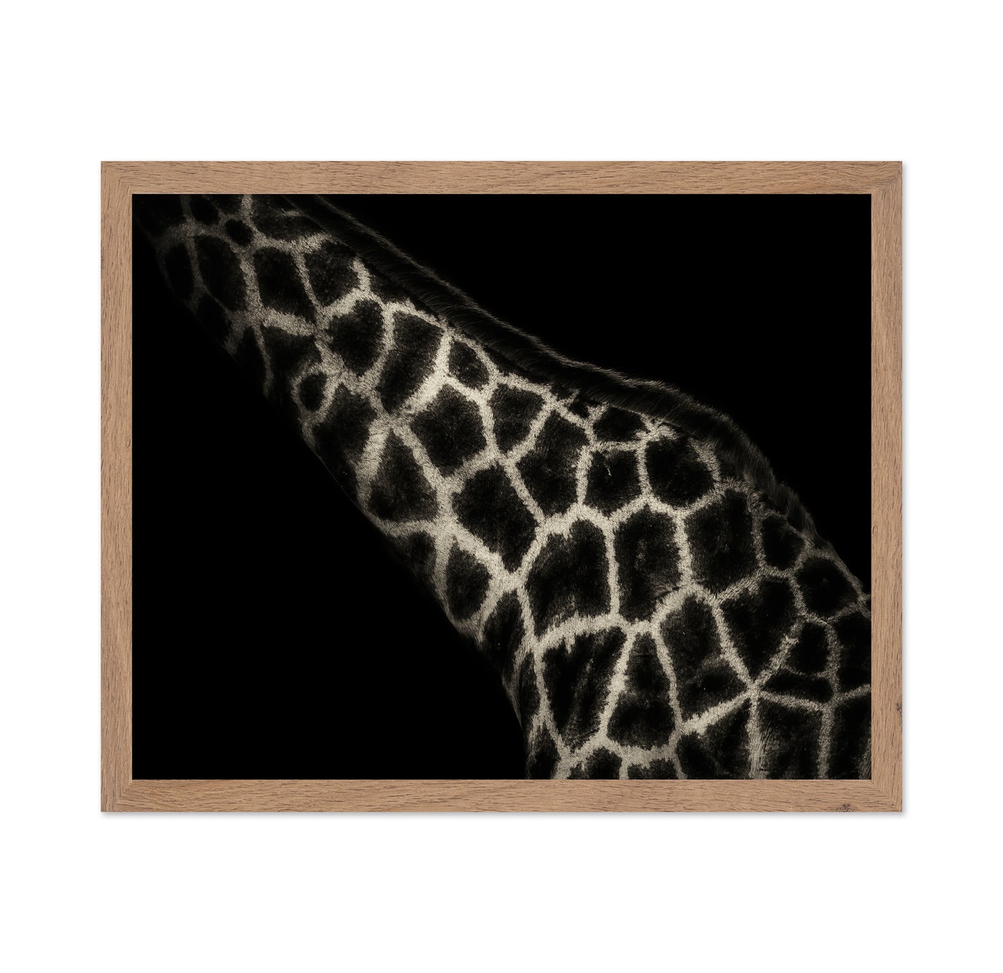 Giraffe Pattern