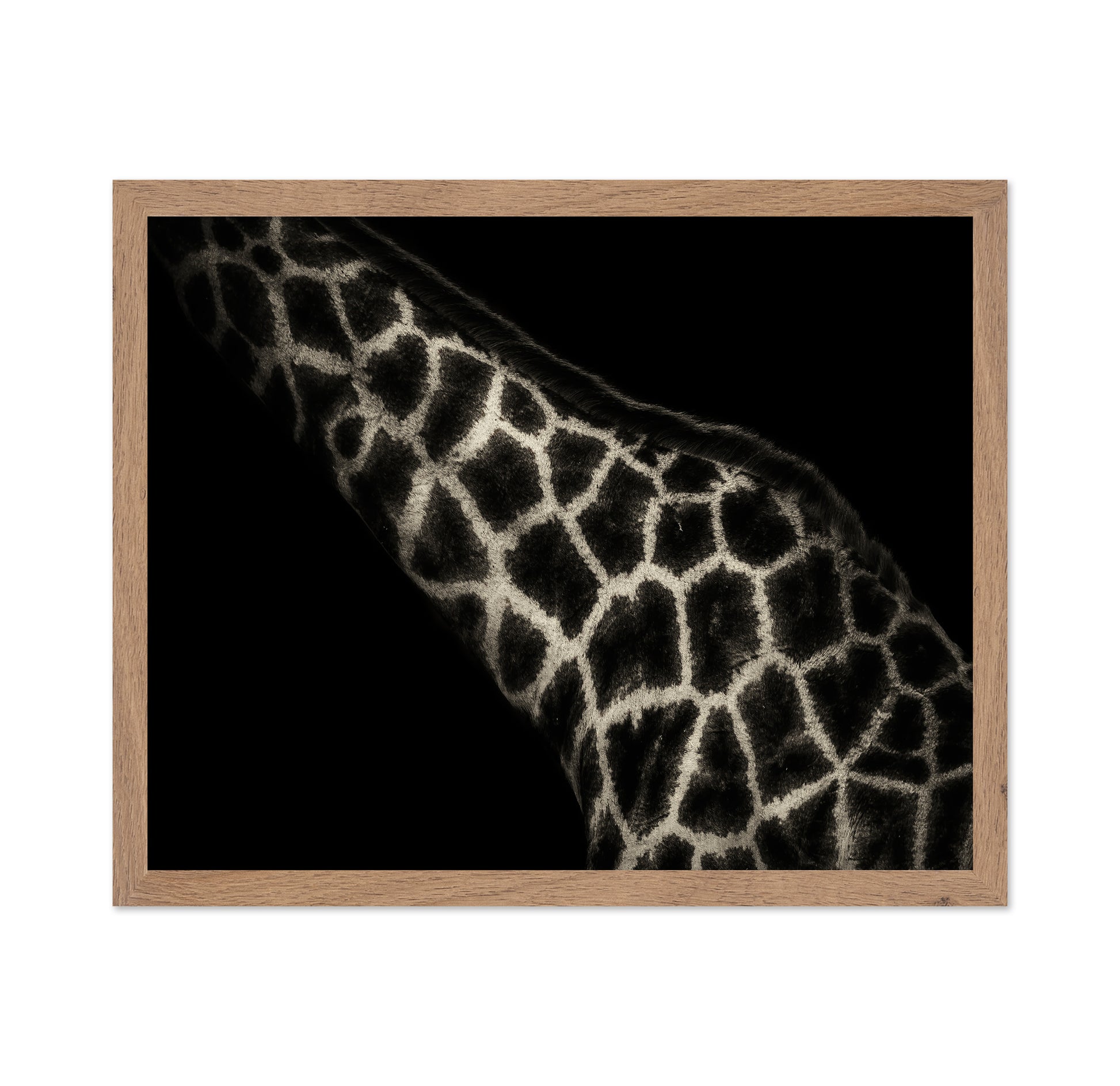Giraffe Pattern