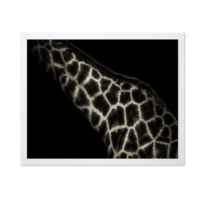 Giraffe Pattern