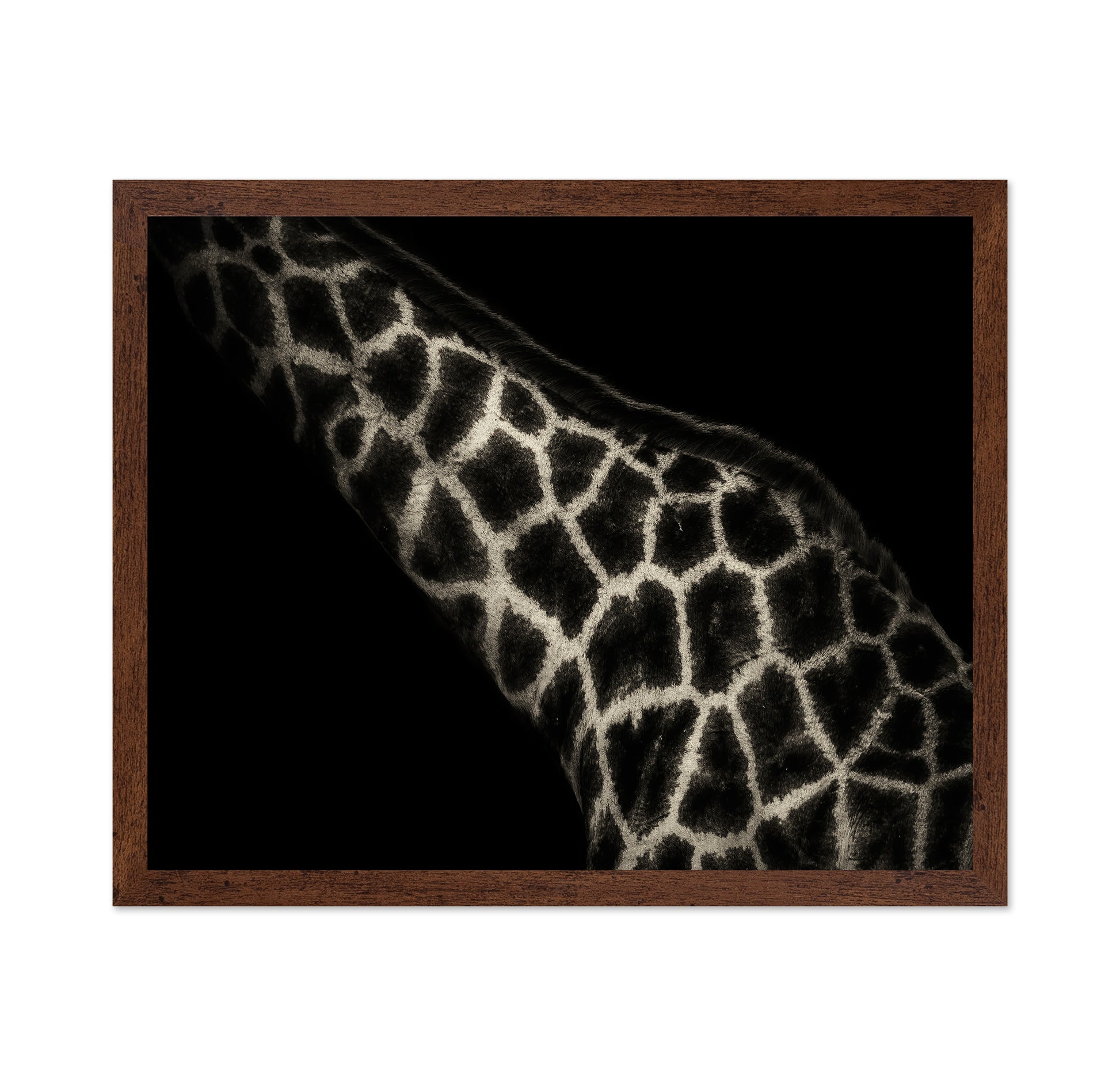 Giraffe Pattern