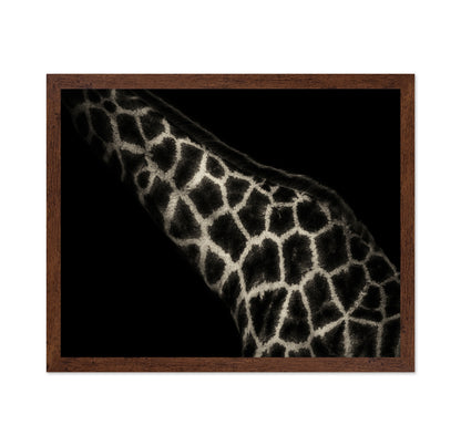 Giraffe Pattern
