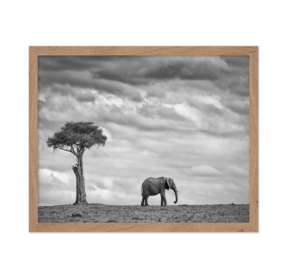 Lone Elephant Plains