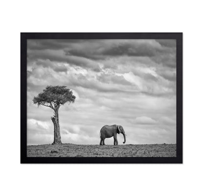 Lone Elephant Plains