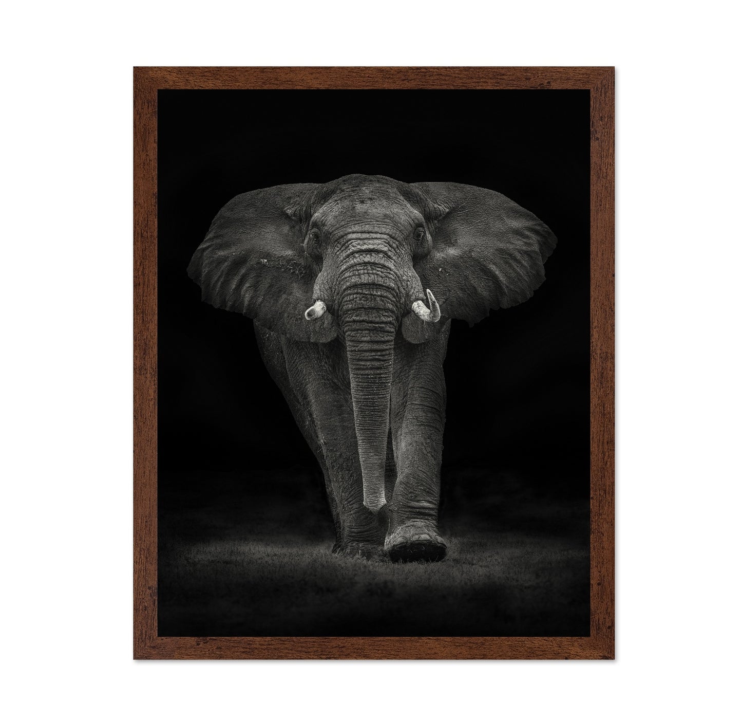 Powerful Elephant