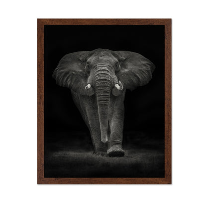 Powerful Elephant