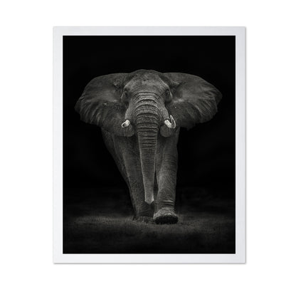 Powerful Elephant