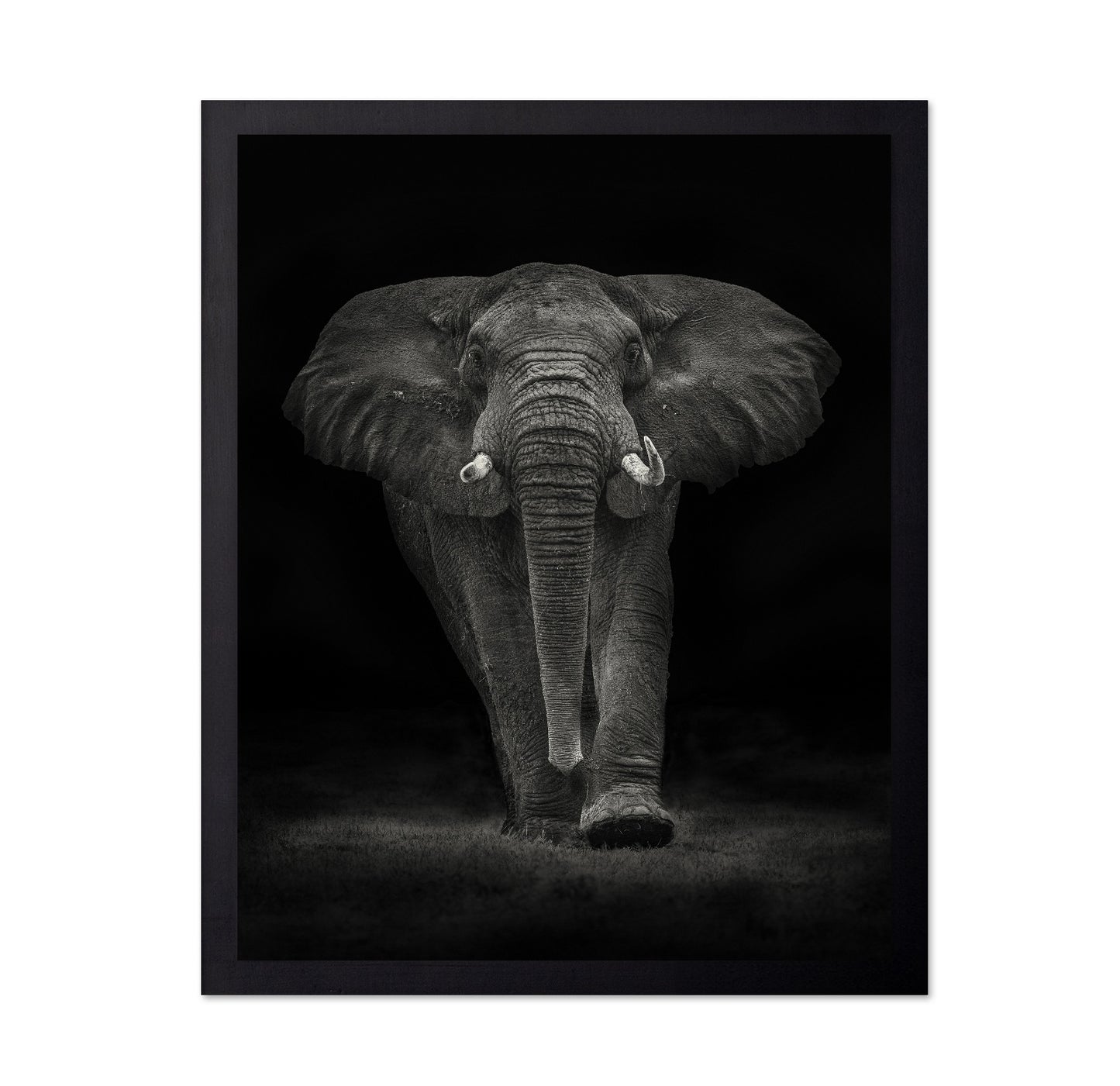 Powerful Elephant