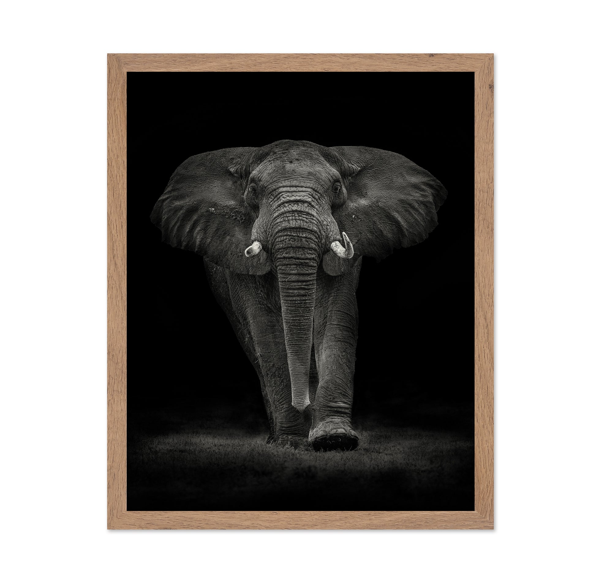 Powerful Elephant
