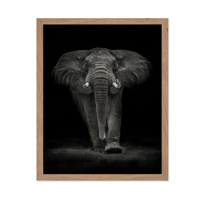 Powerful Elephant