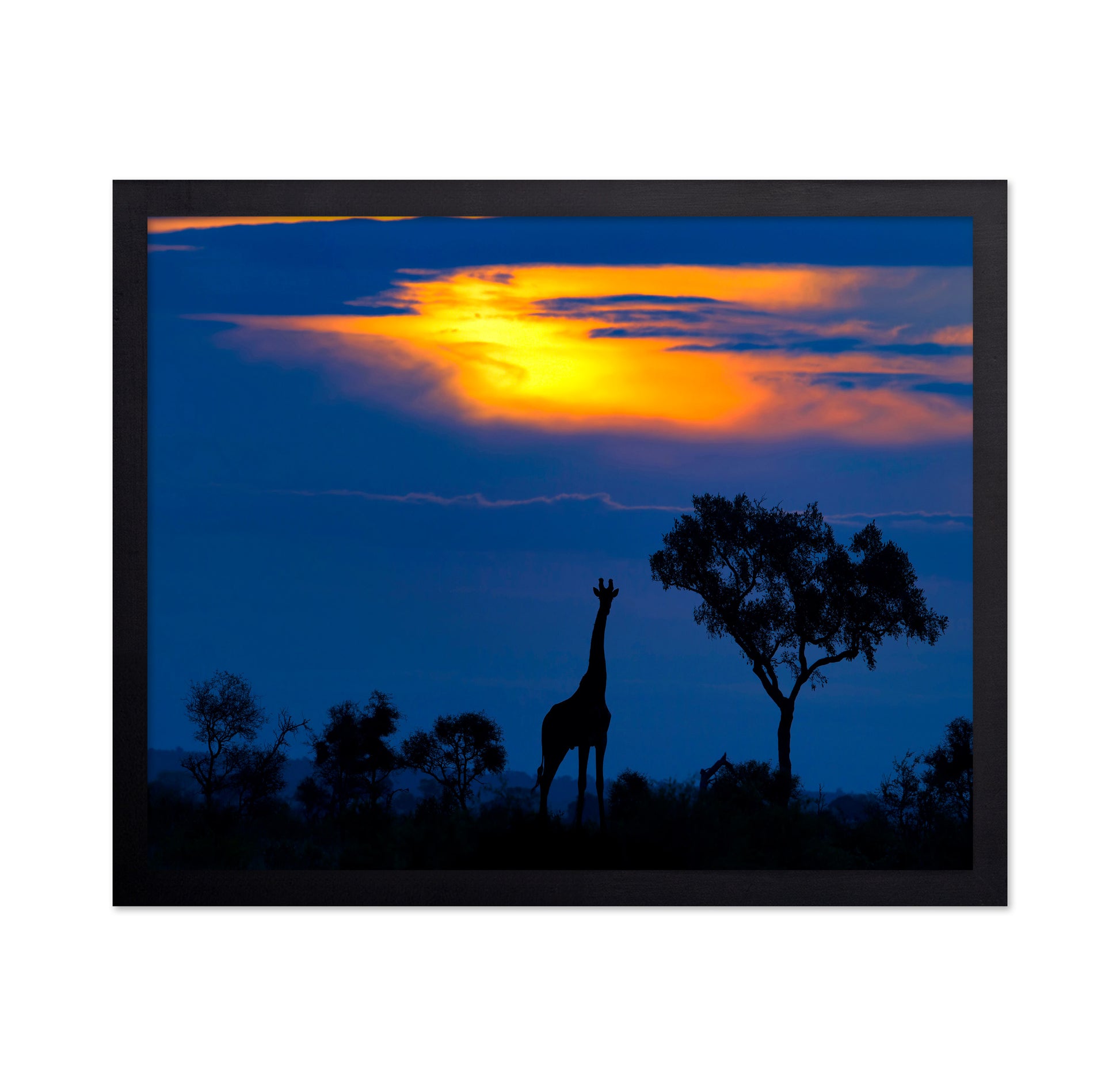 Giraffe Sunset Silhouette
