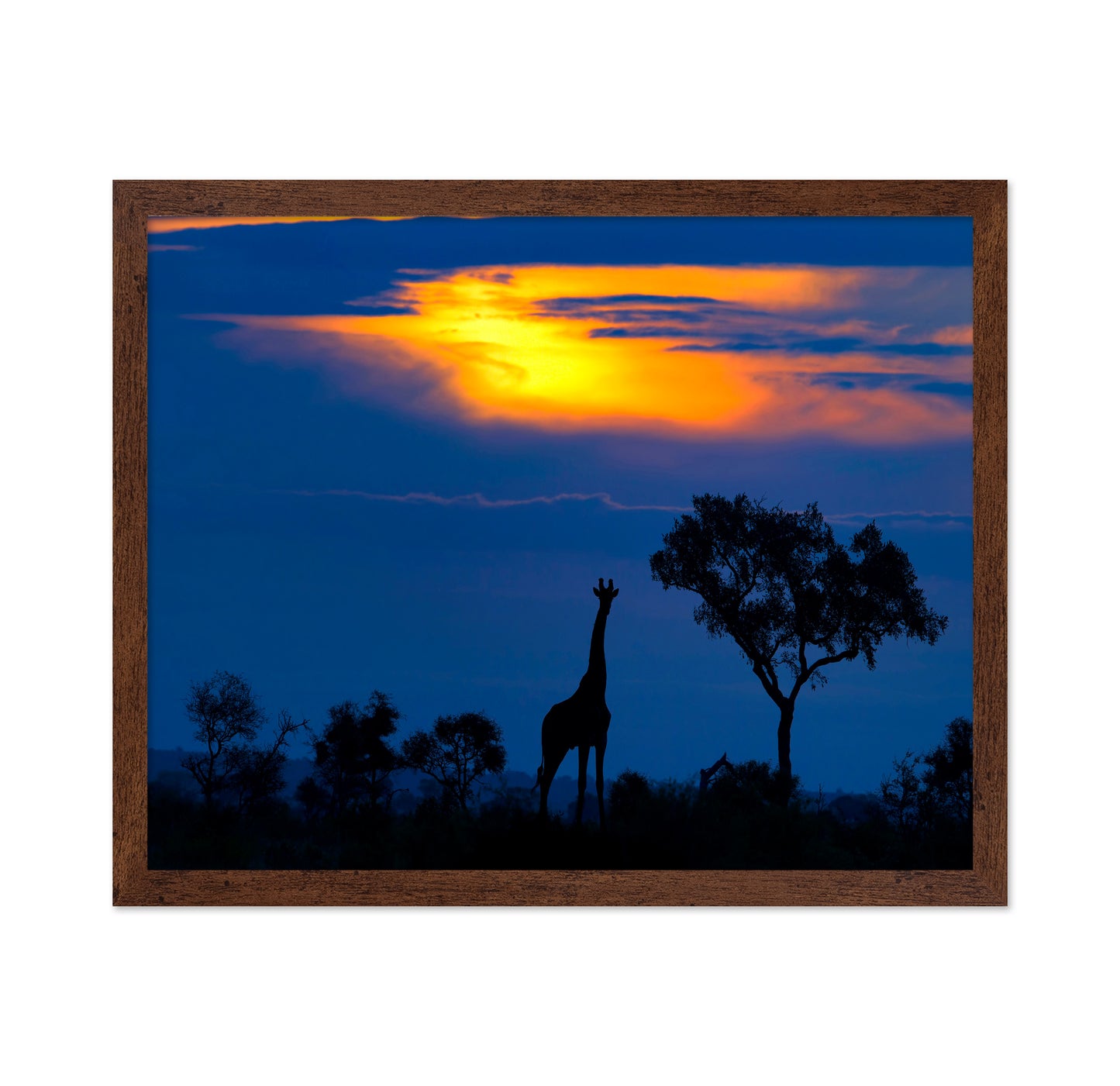 Giraffe Sunset Silhouette