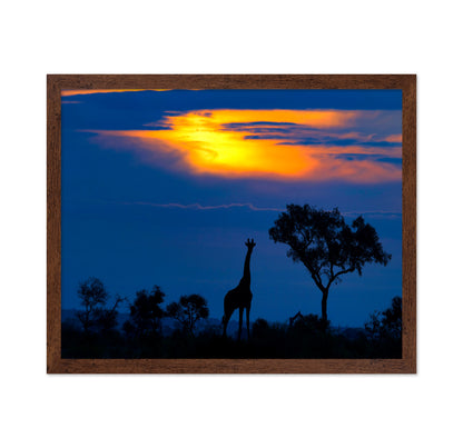 Giraffe Sunset Silhouette