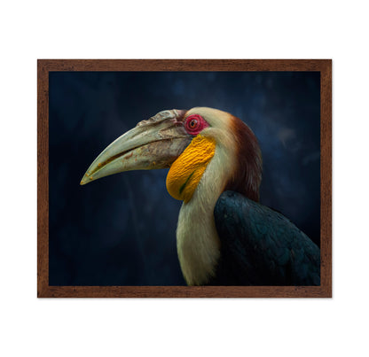 Colorful Hornbill Portrait