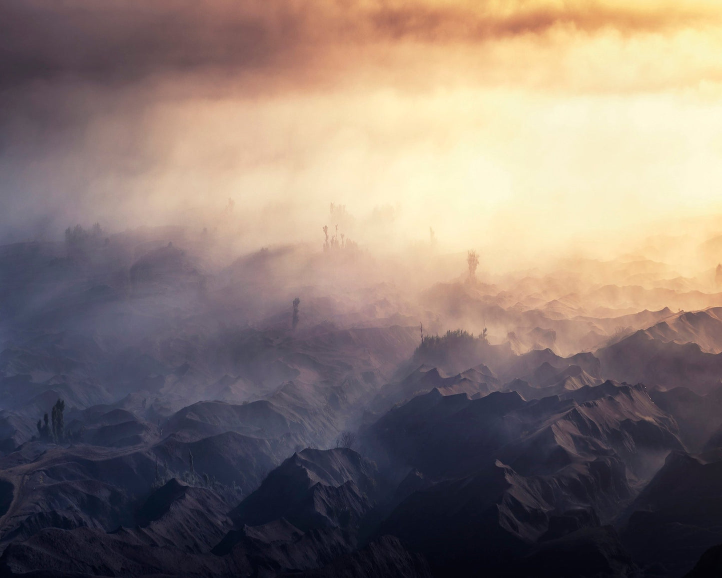 Golden Fog Valley