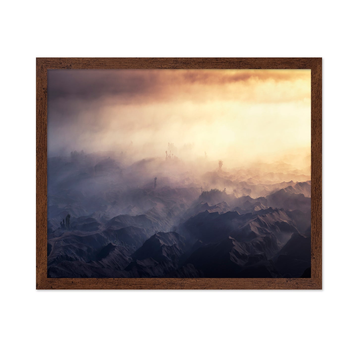 Golden Fog Valley