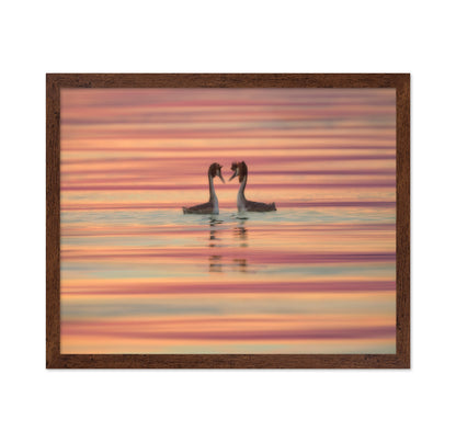 Dancing Water Birds