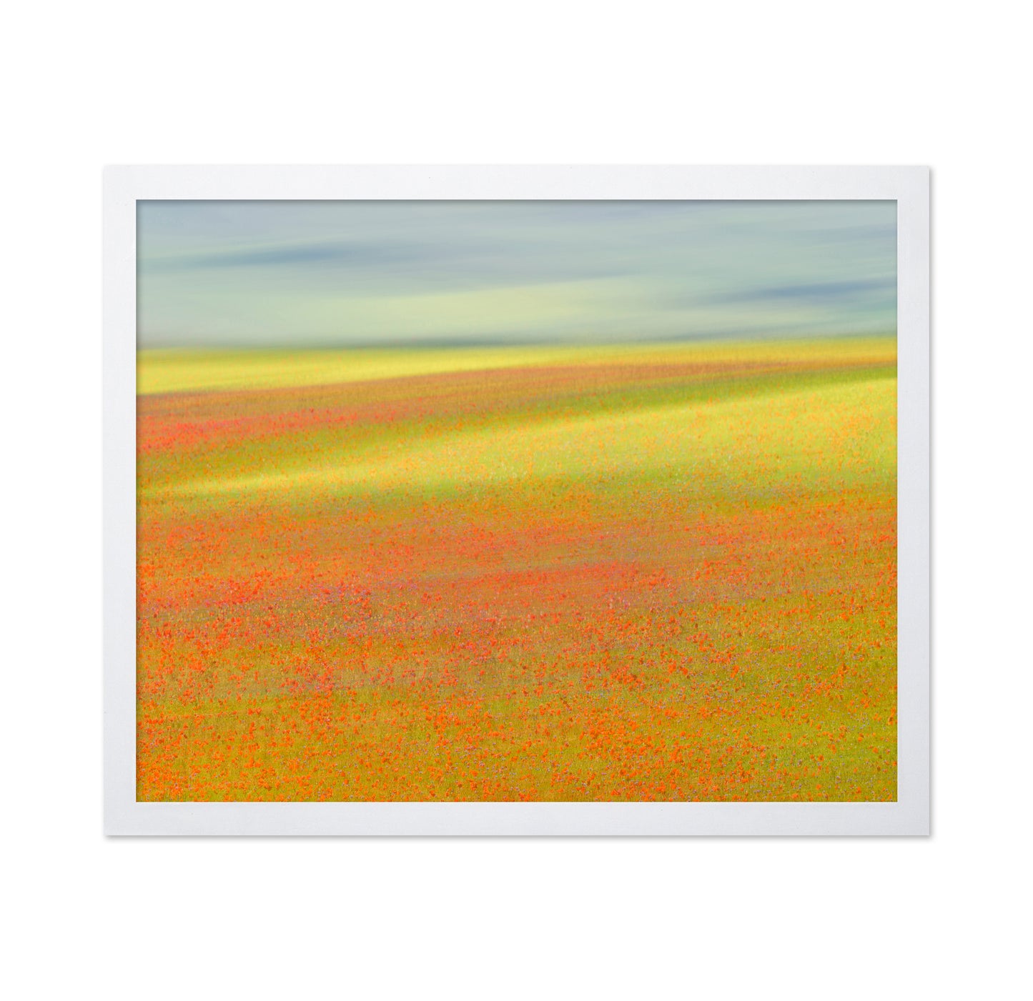 Colorful Flower Fields No1