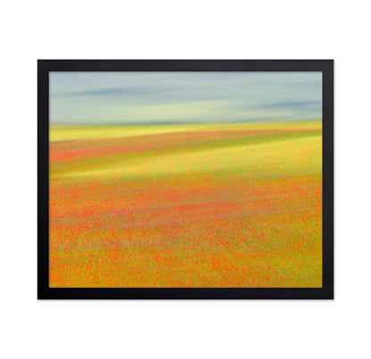 Colorful Flower Fields No1