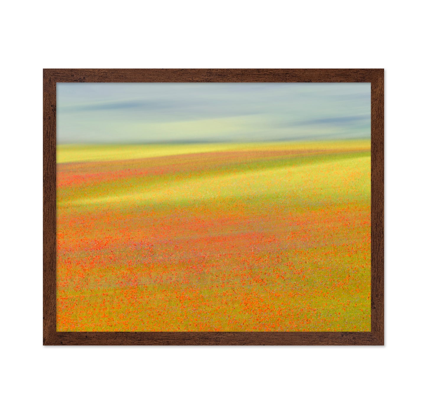 Colorful Flower Fields No1