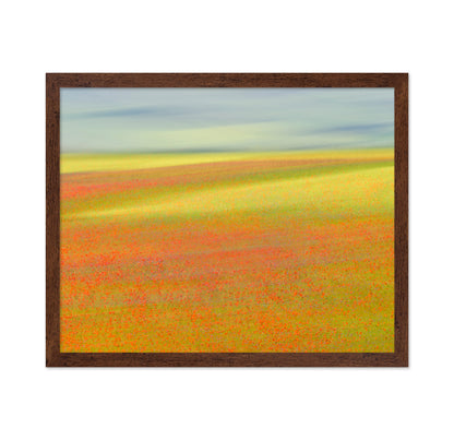 Colorful Flower Fields No1
