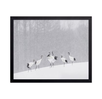 Snow Dancing Cranes