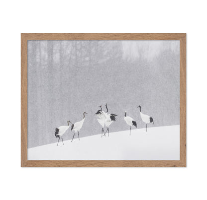 Snow Dancing Cranes