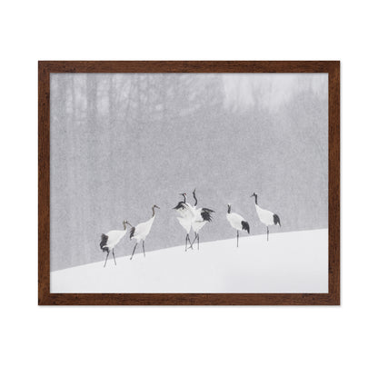Snow Dancing Cranes
