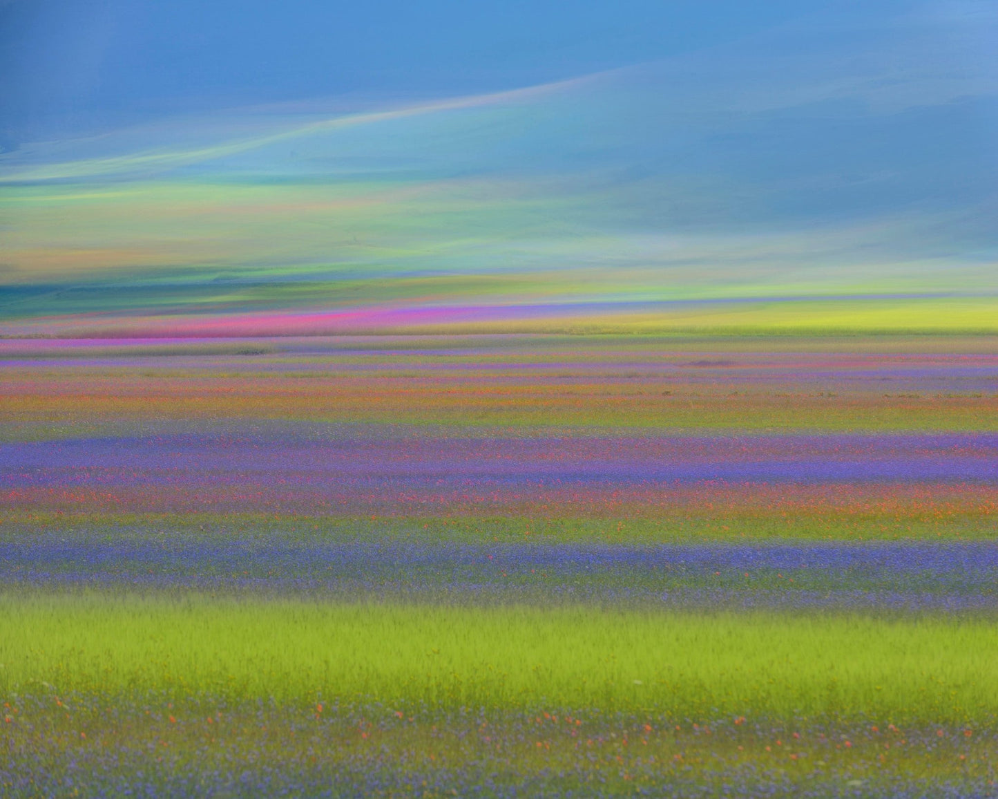 Colorful Meadow Waves