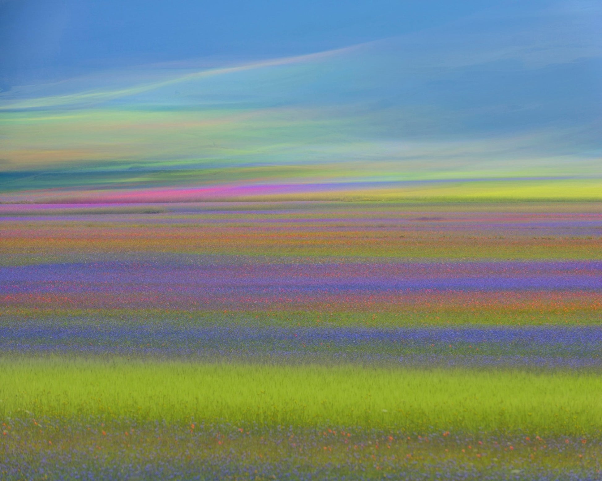 Colorful Meadow Waves