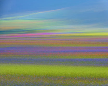 Colorful Meadow Waves