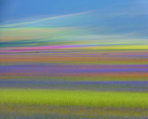 Colorful Meadow Waves