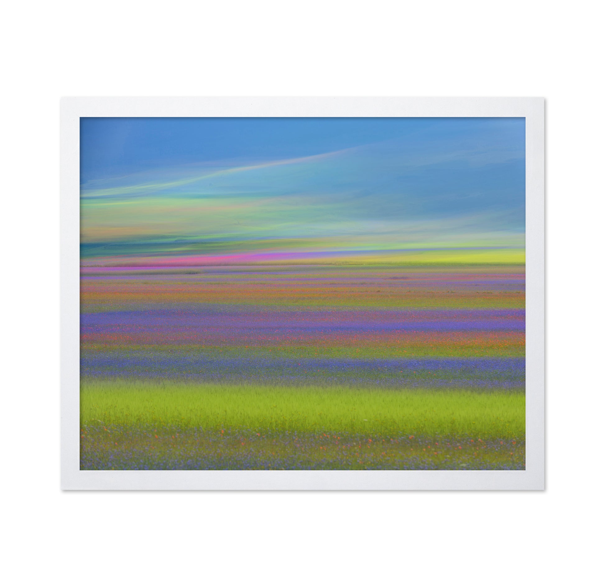 Colorful Meadow Waves