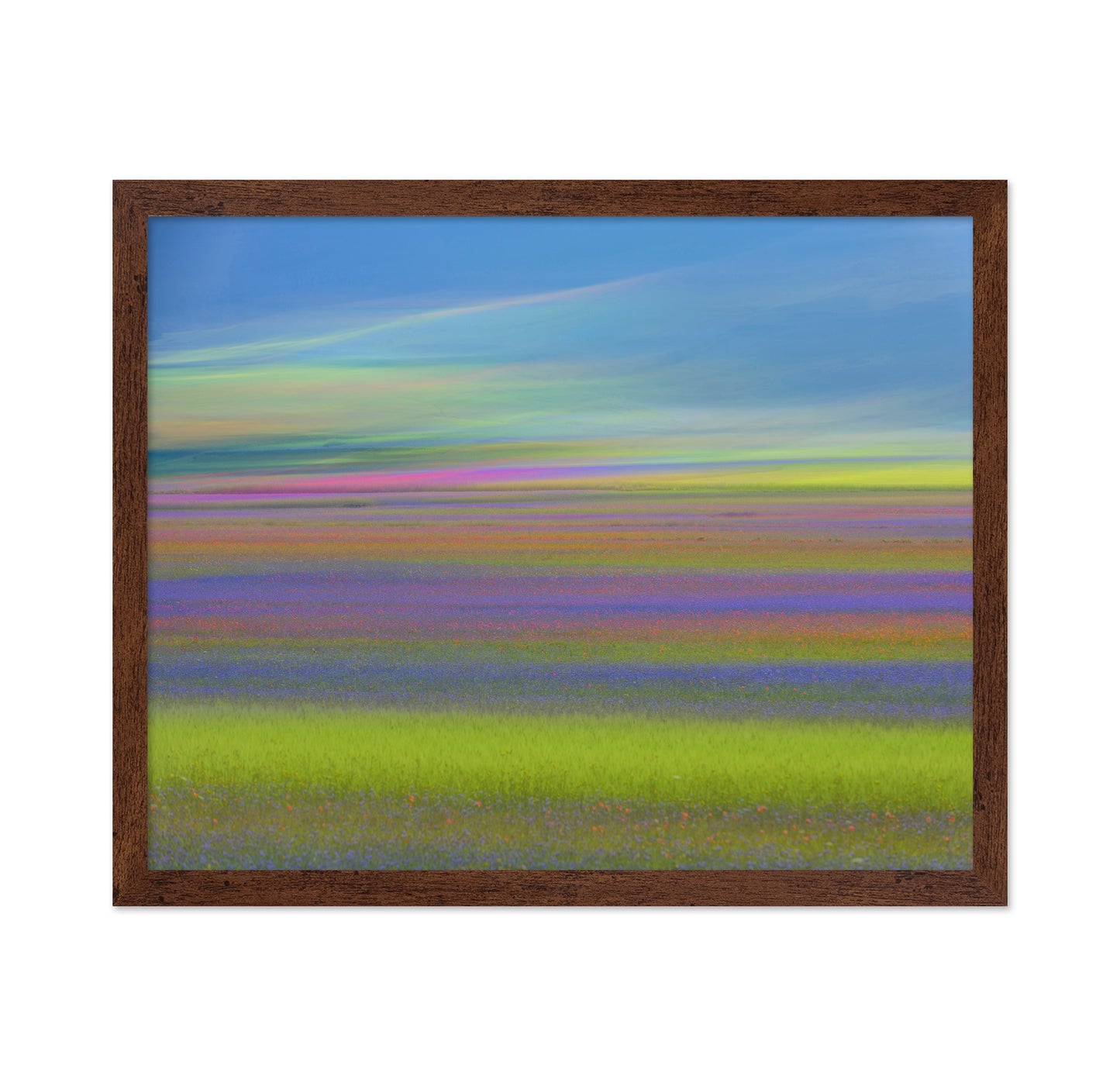 Colorful Meadow Waves