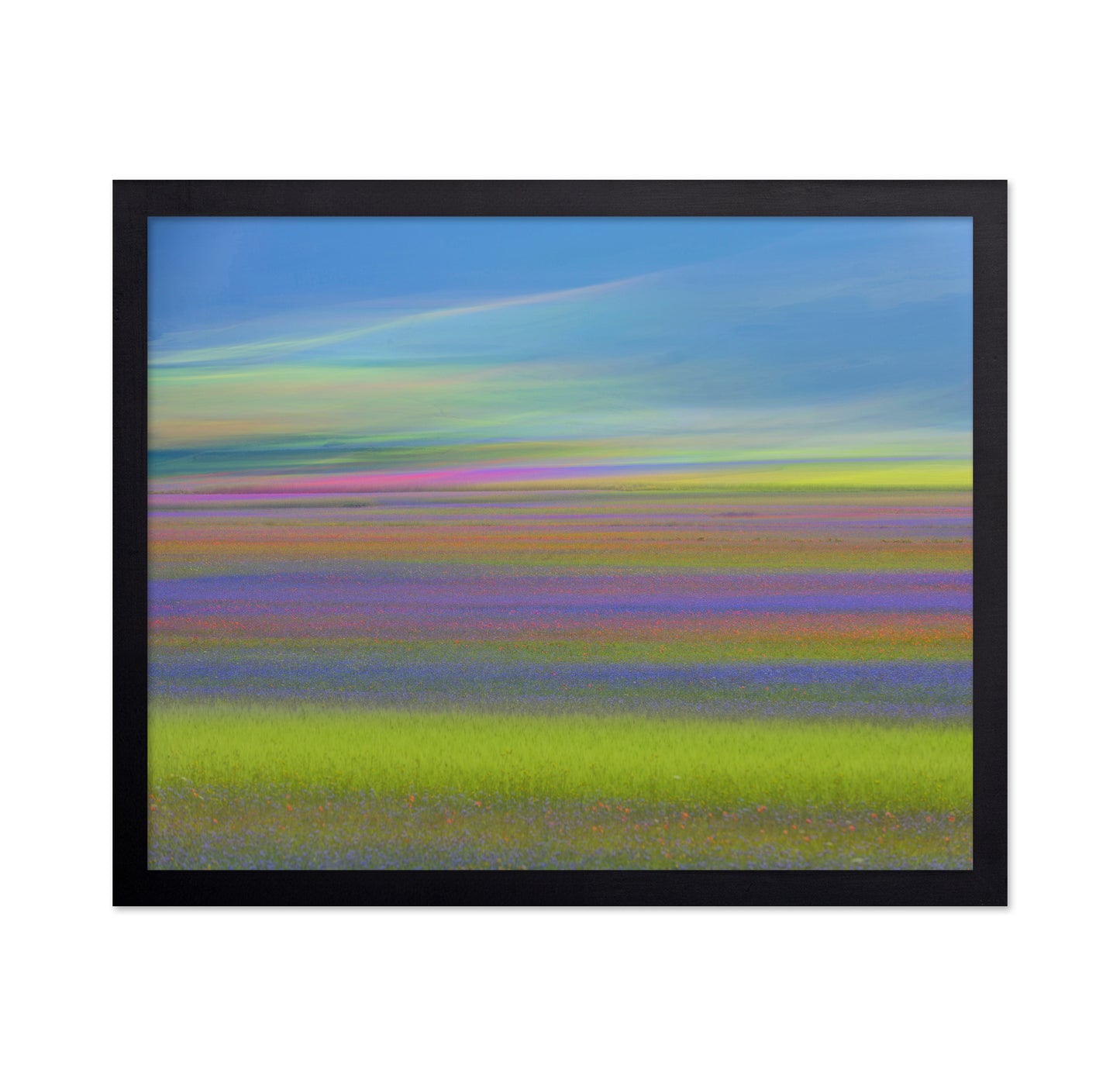 Colorful Meadow Waves