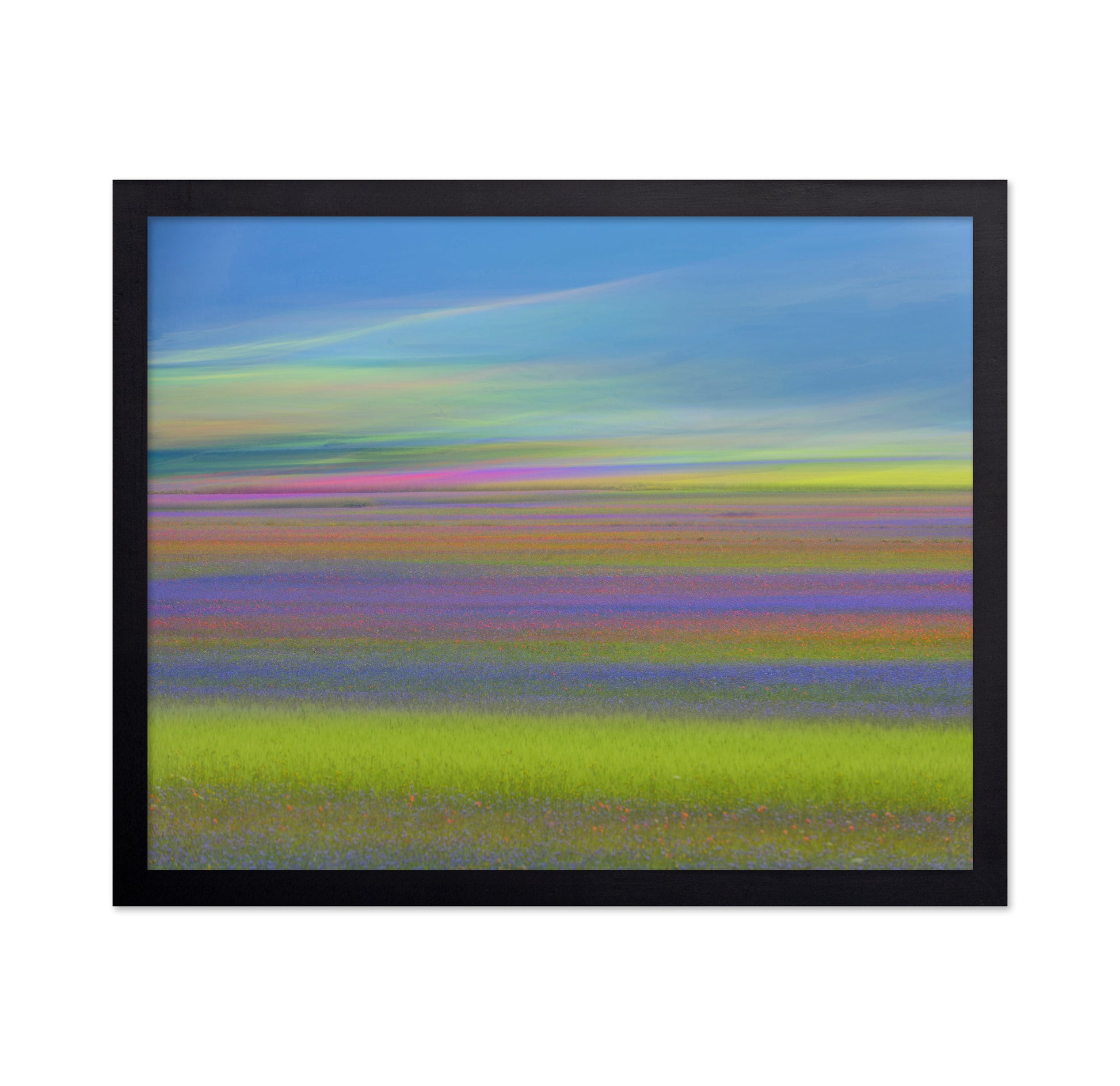 Colorful Meadow Waves