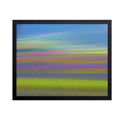Colorful Meadow Waves