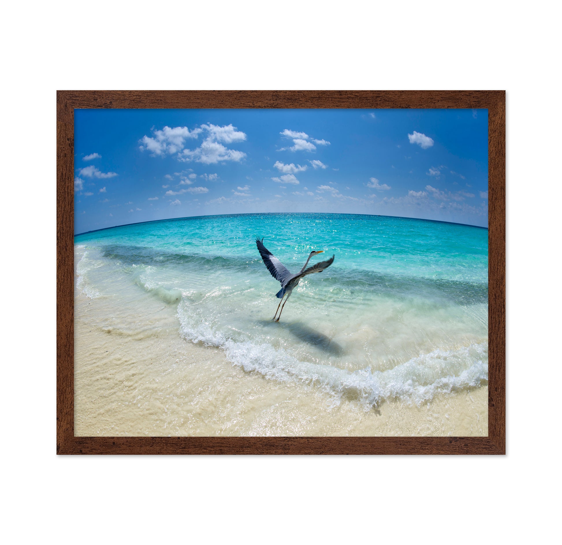 Heron Takeoff No1
